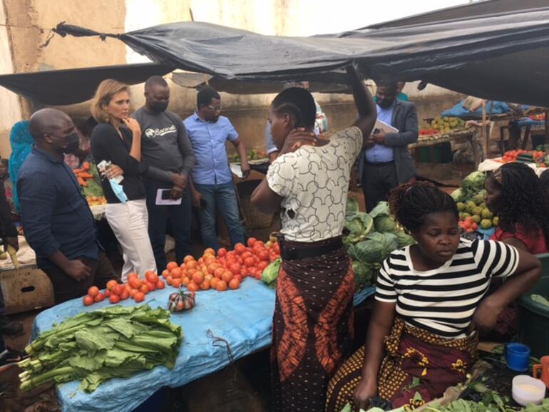 IV Missao de Supervisao