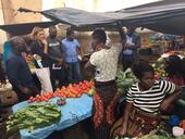 IV Missao de Supervisao